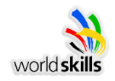 WorldSkills. «Молодые профессионалы» .