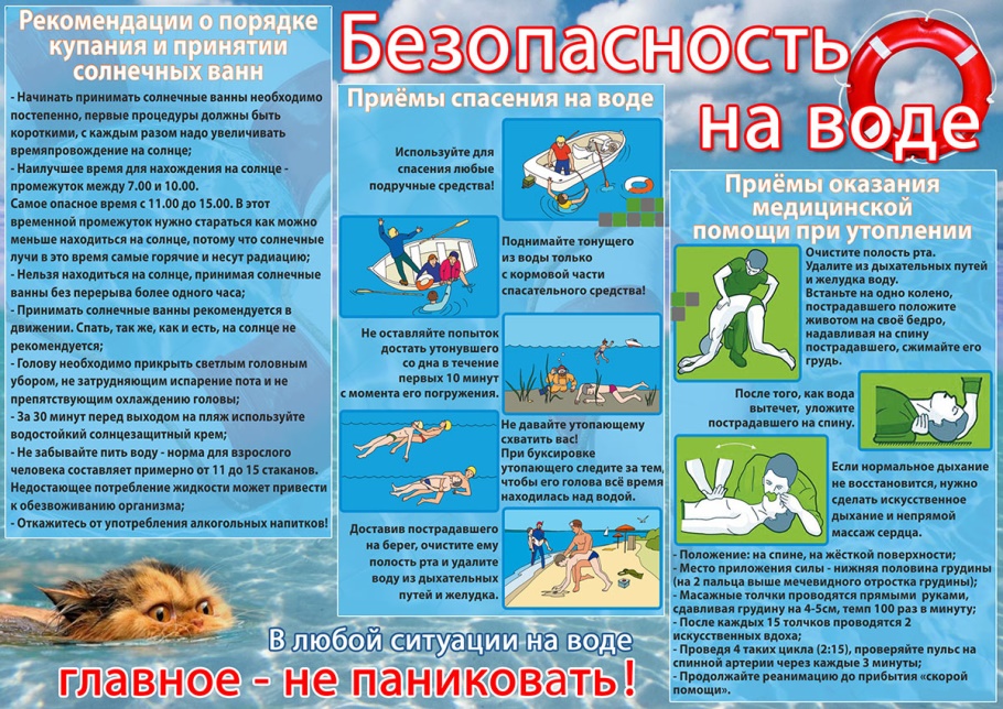 апвп.jpg