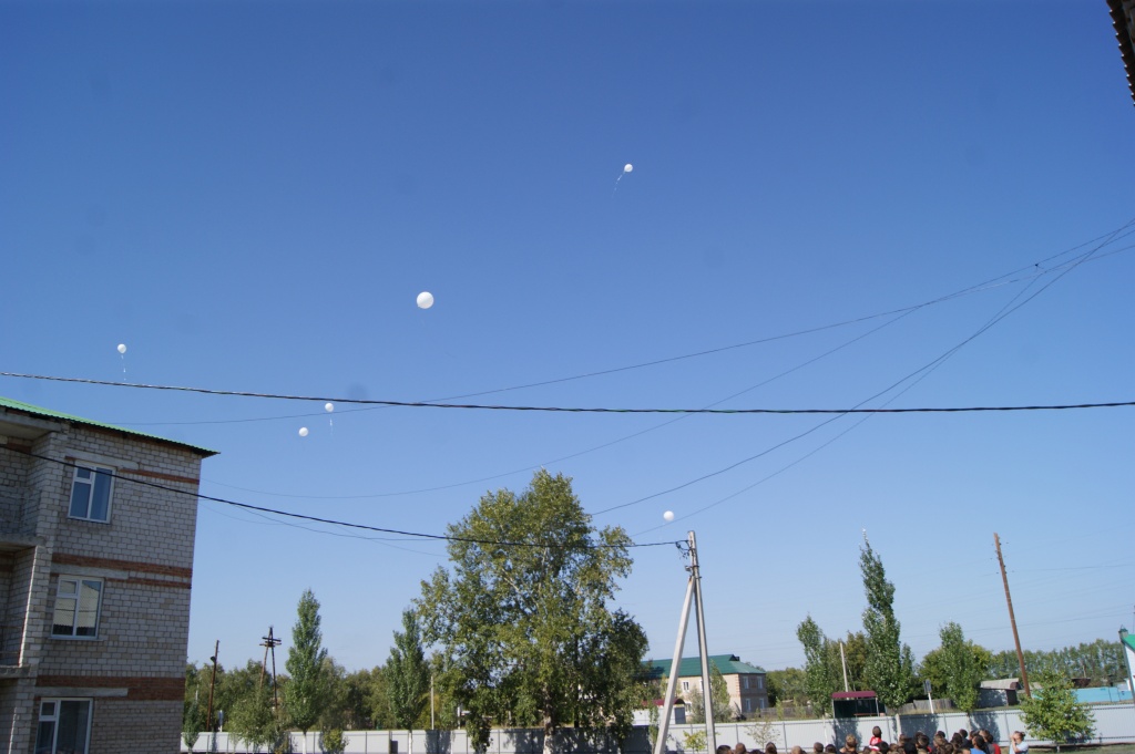 DSC09737.JPG