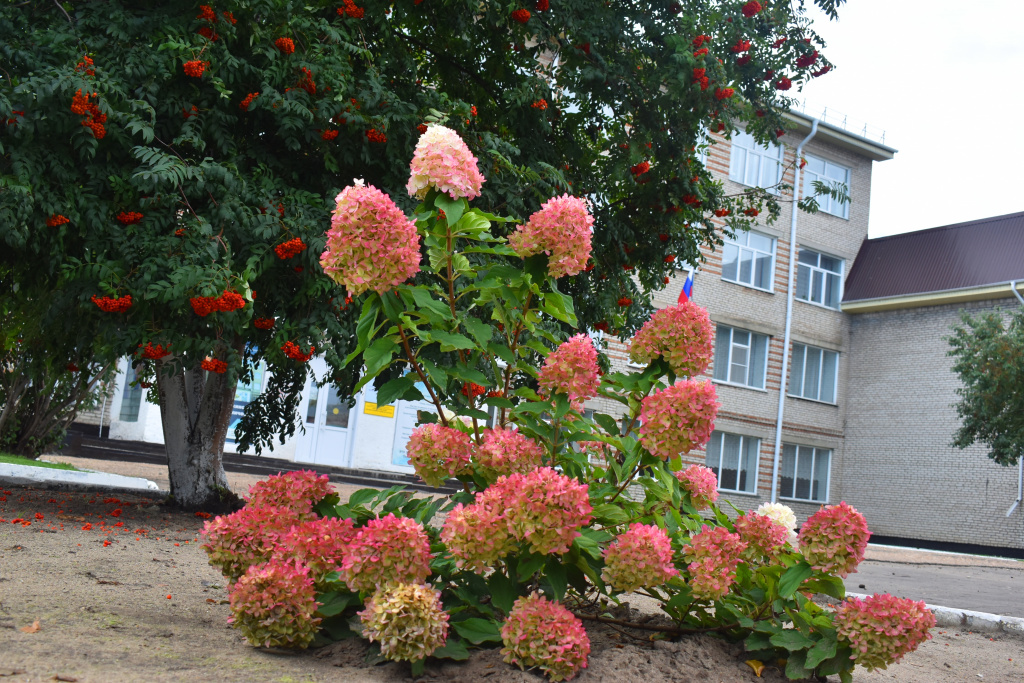 DSC_0016.JPG