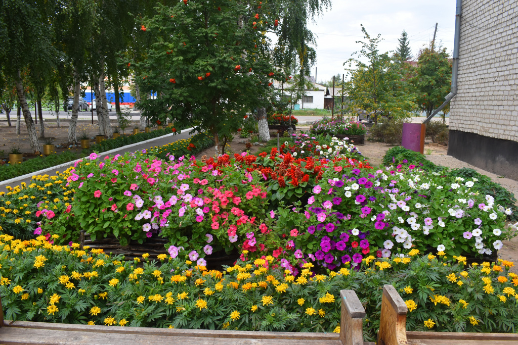 DSC_0037.JPG